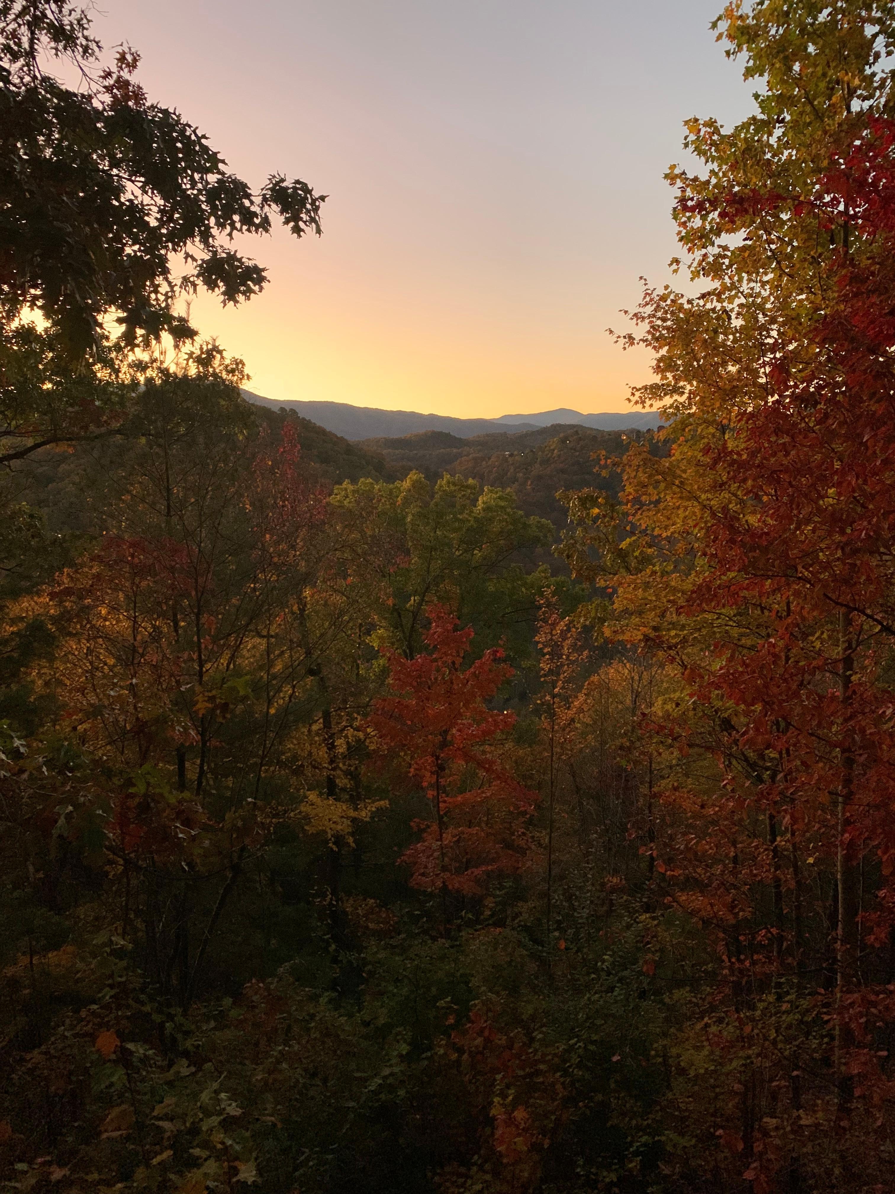 Beautiful morning - just after sunrise 
