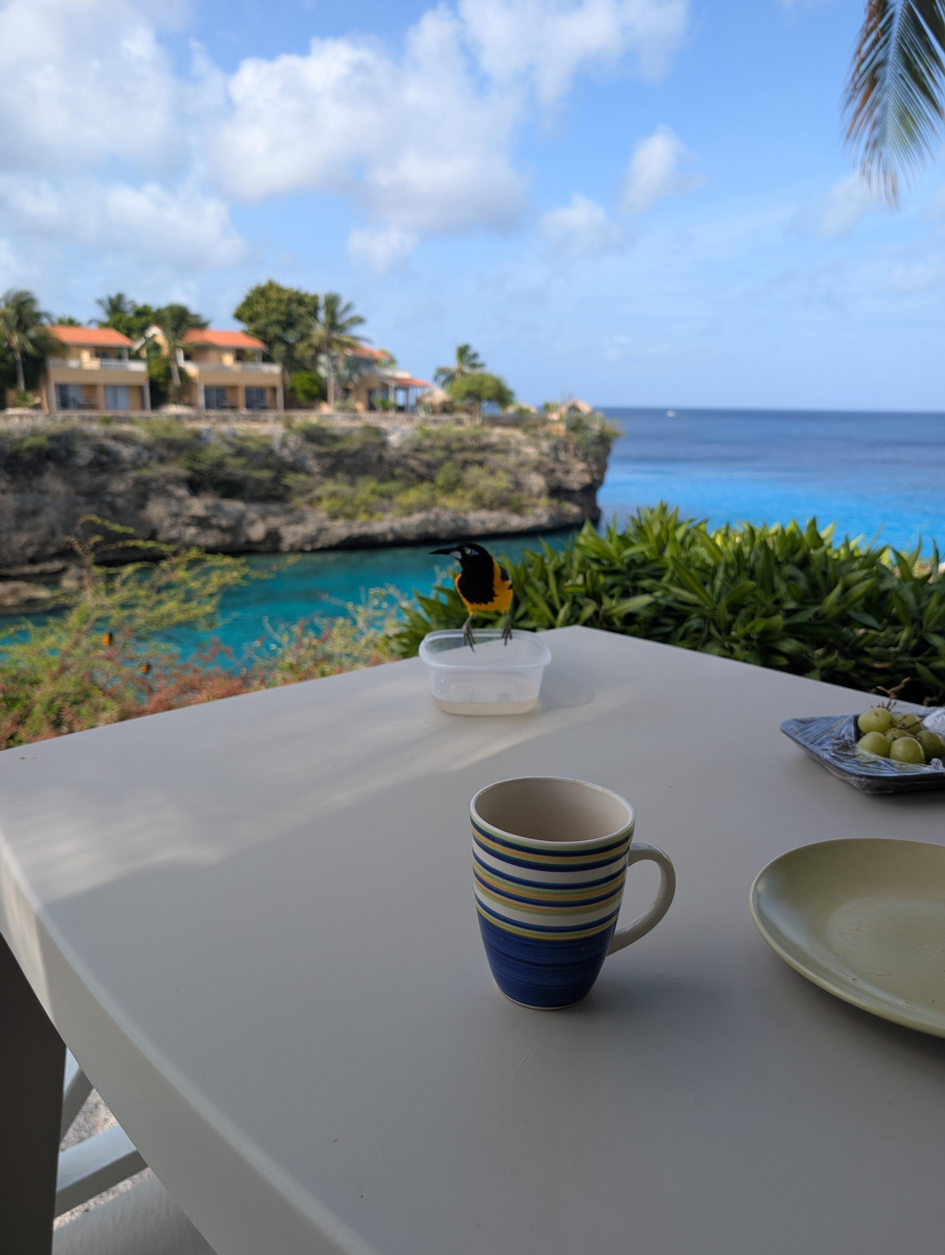 Coffee on the "back" patio.