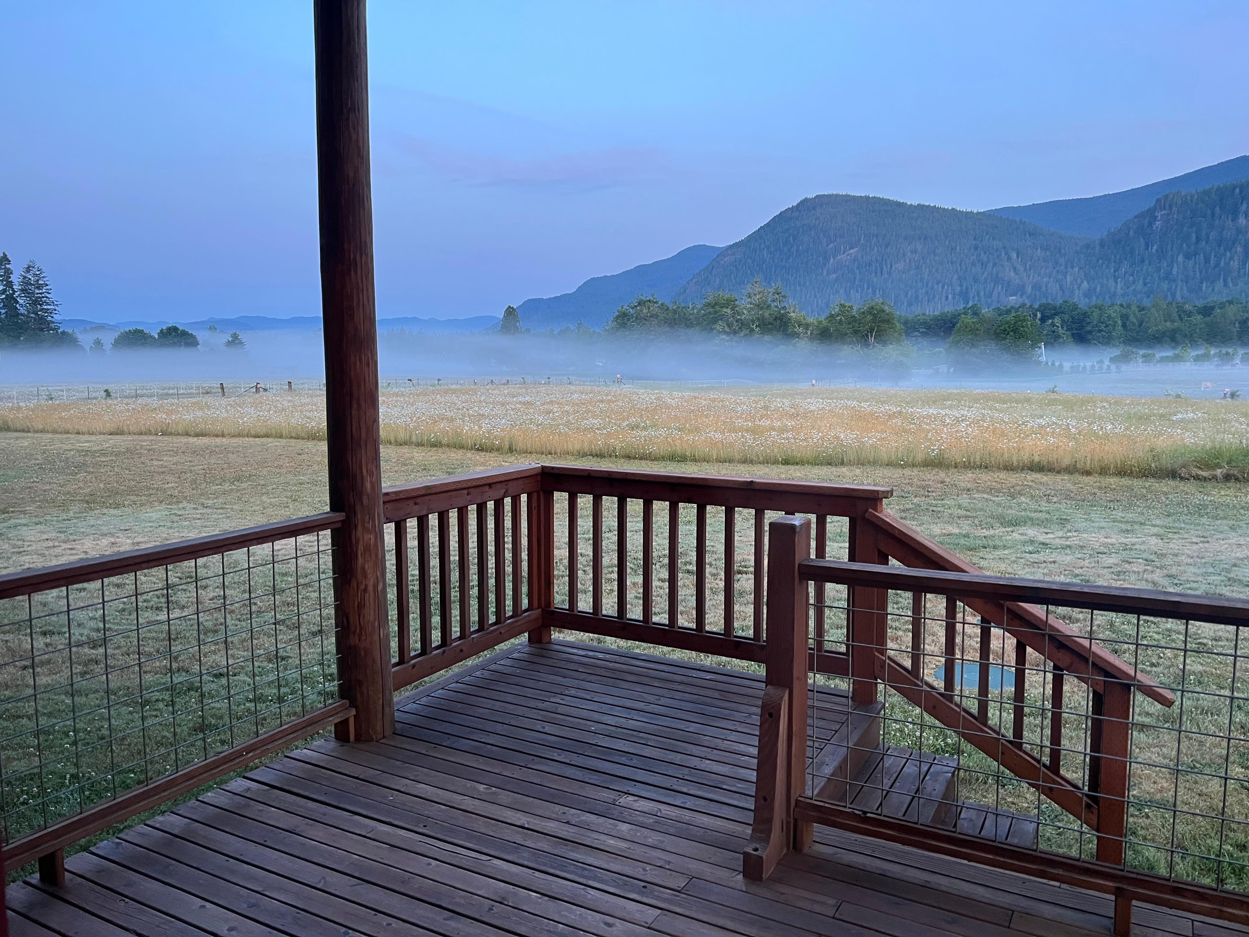 Morning from back porch.