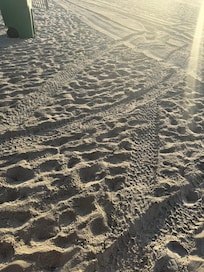 On the Beach