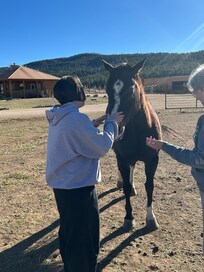 Nancy Burch Road Runner Tours