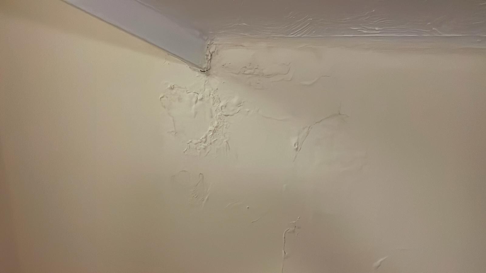 Mould