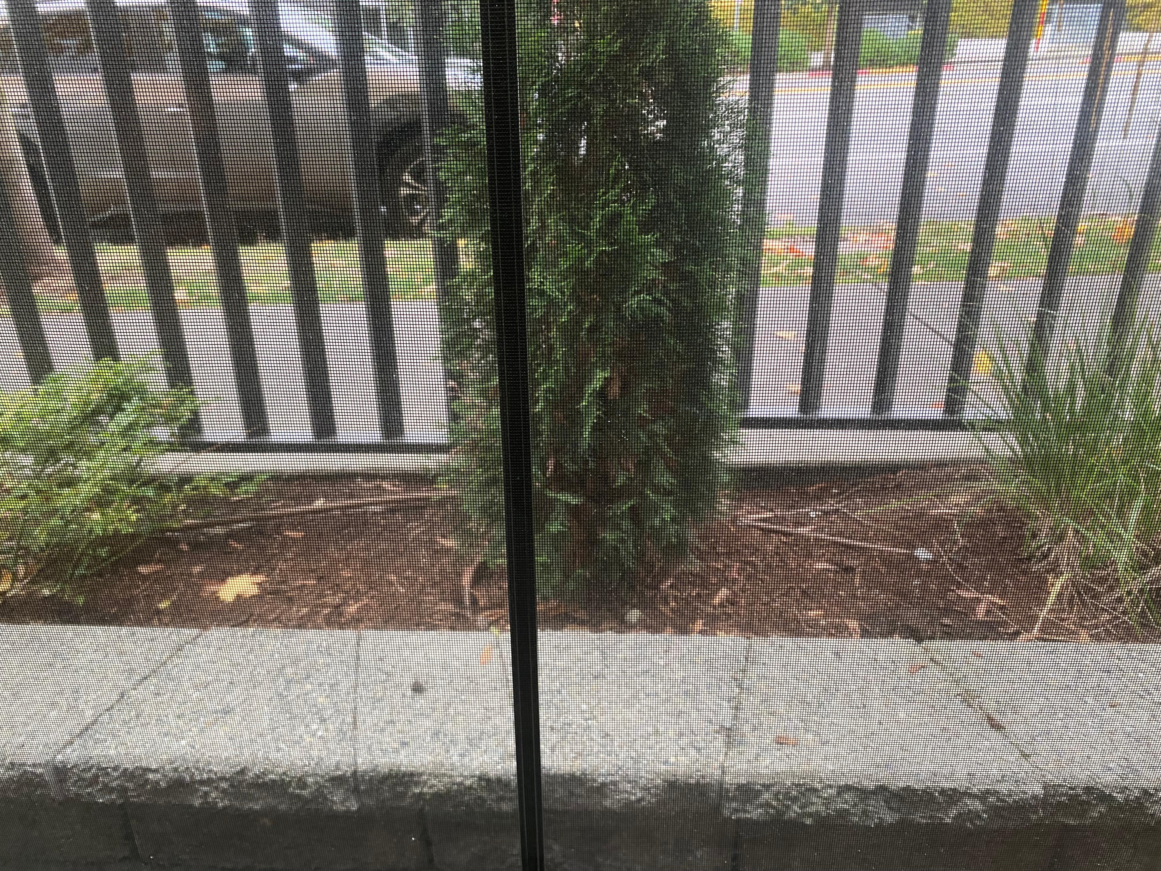 Our room on the “3rd floor”.