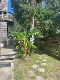 Cute pathway