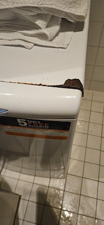 Rusted washing machine
