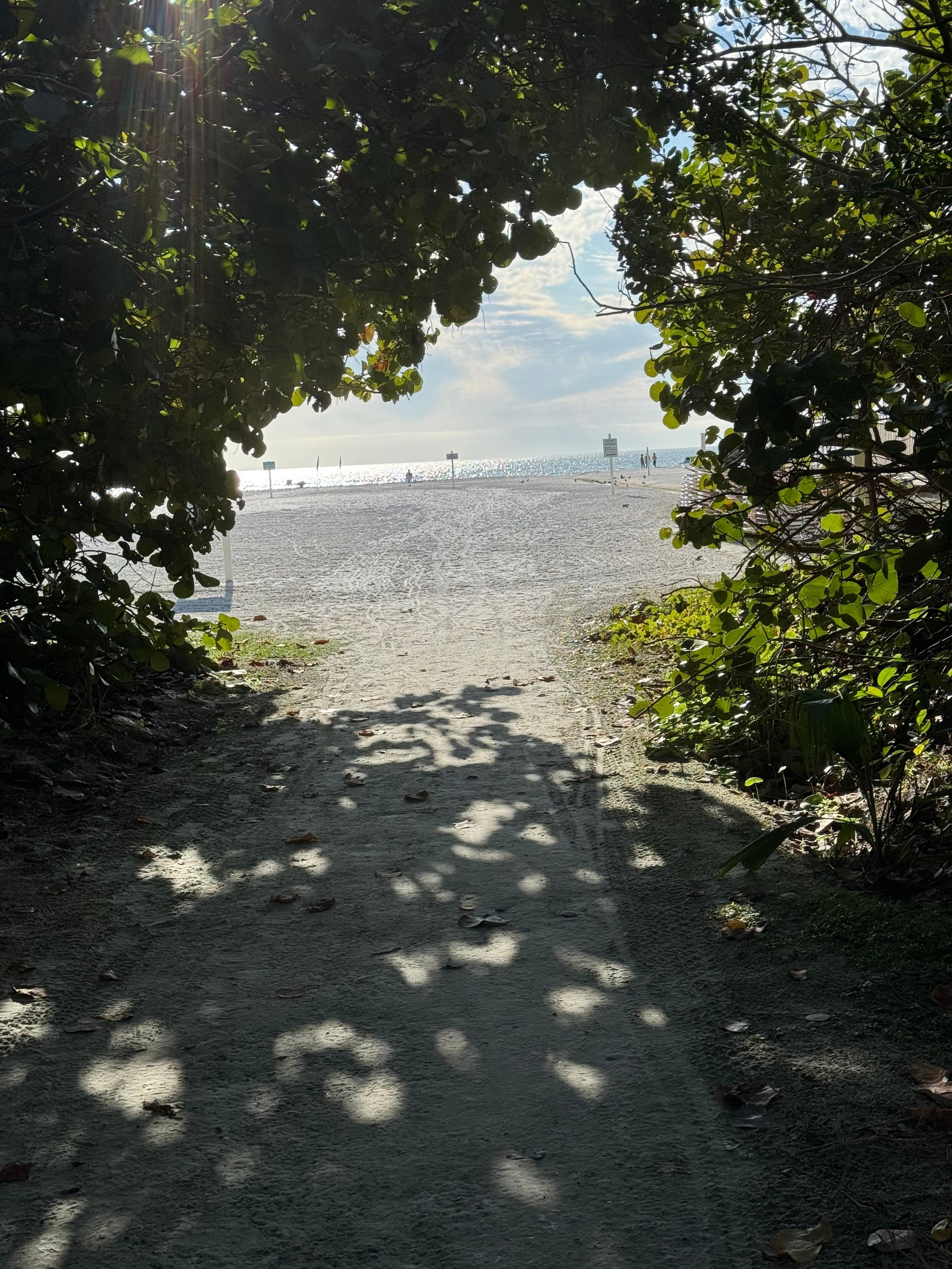 Love the entrance to the beach 🏝️ 