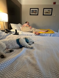 Exhausted after hours of support!