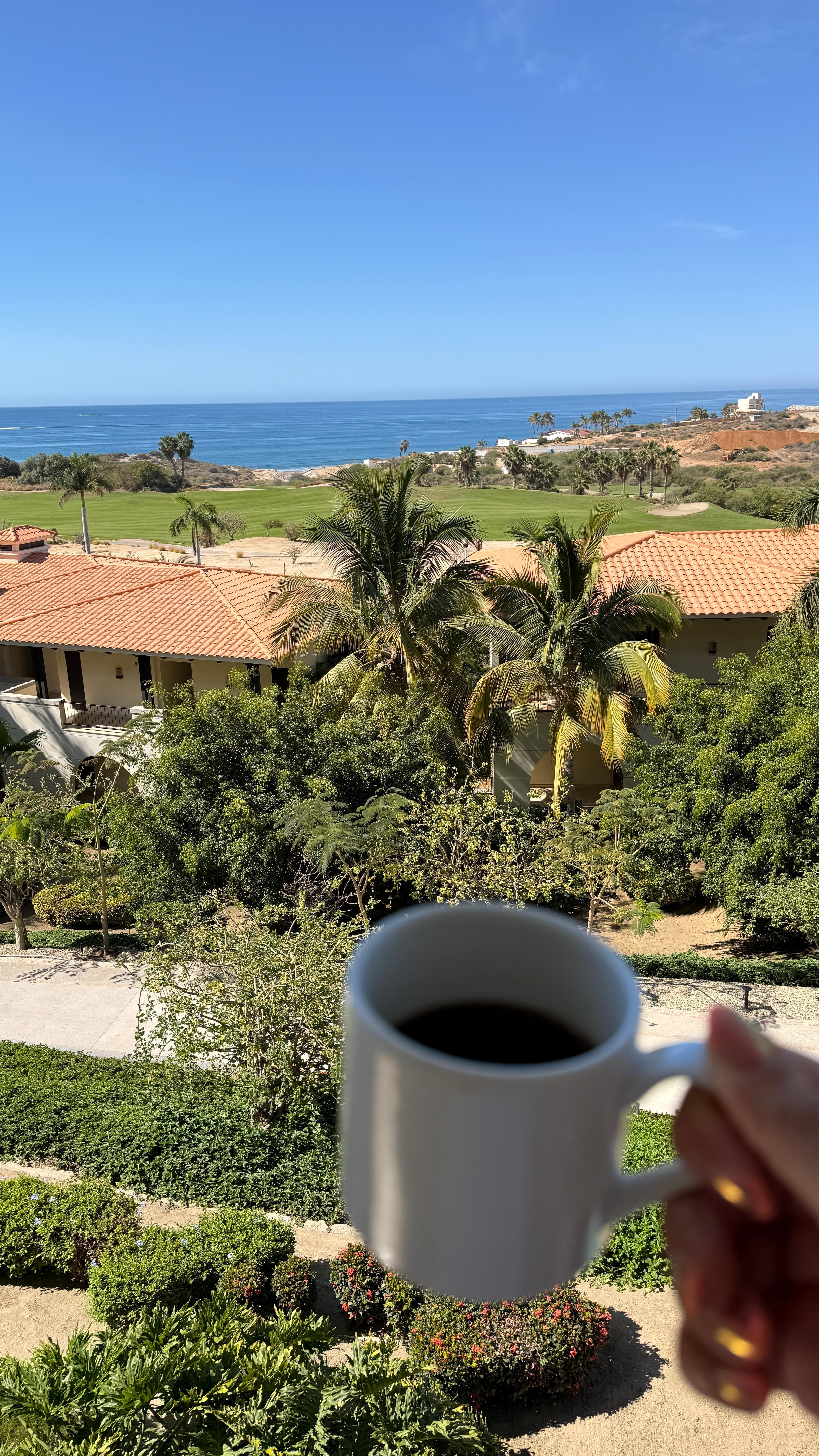 View from our room! We were in building 2 with “garden” view. 