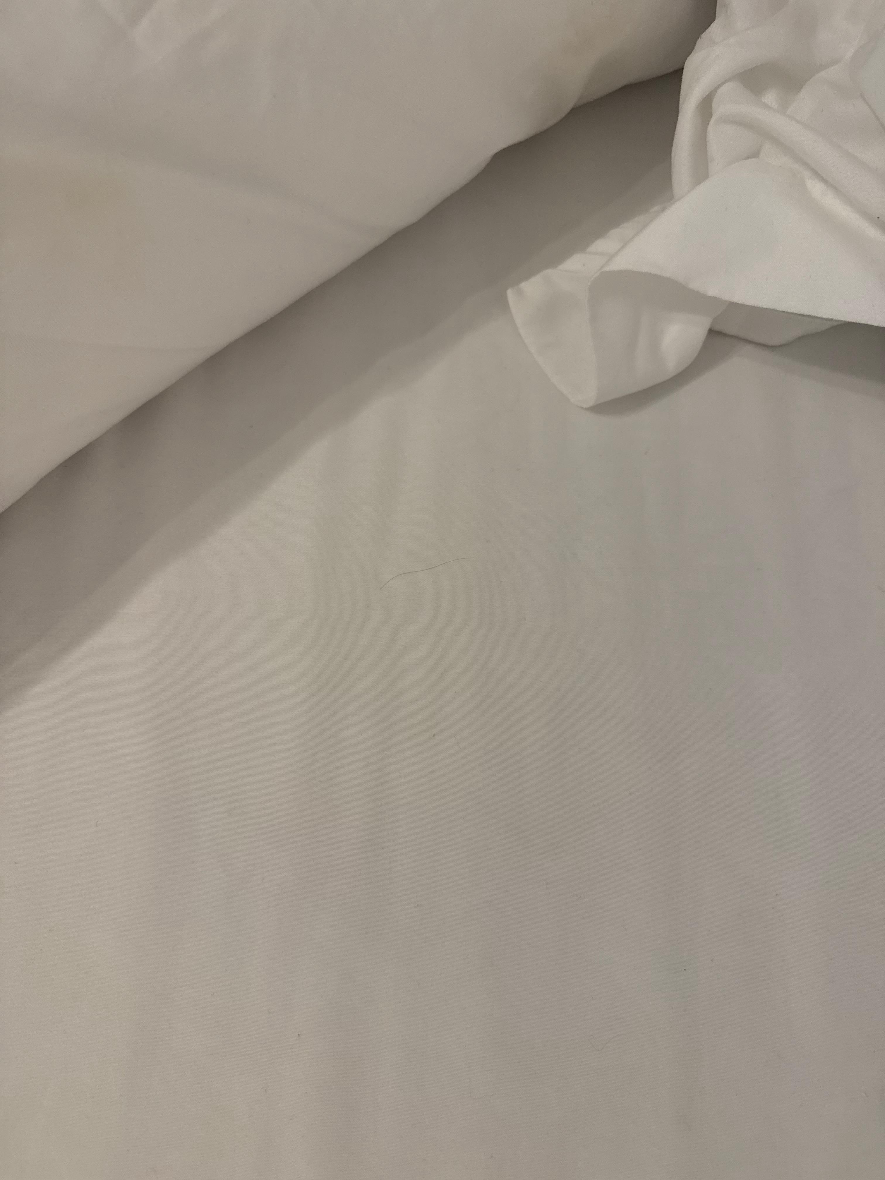 Hair in the bedsheets