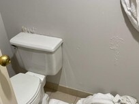 Paint peeling around toilet