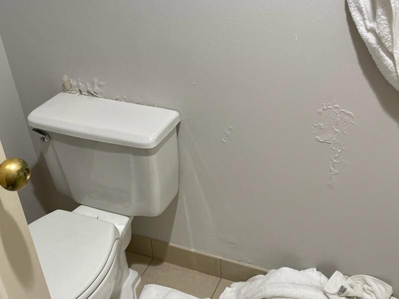 Paint peeling around toilet