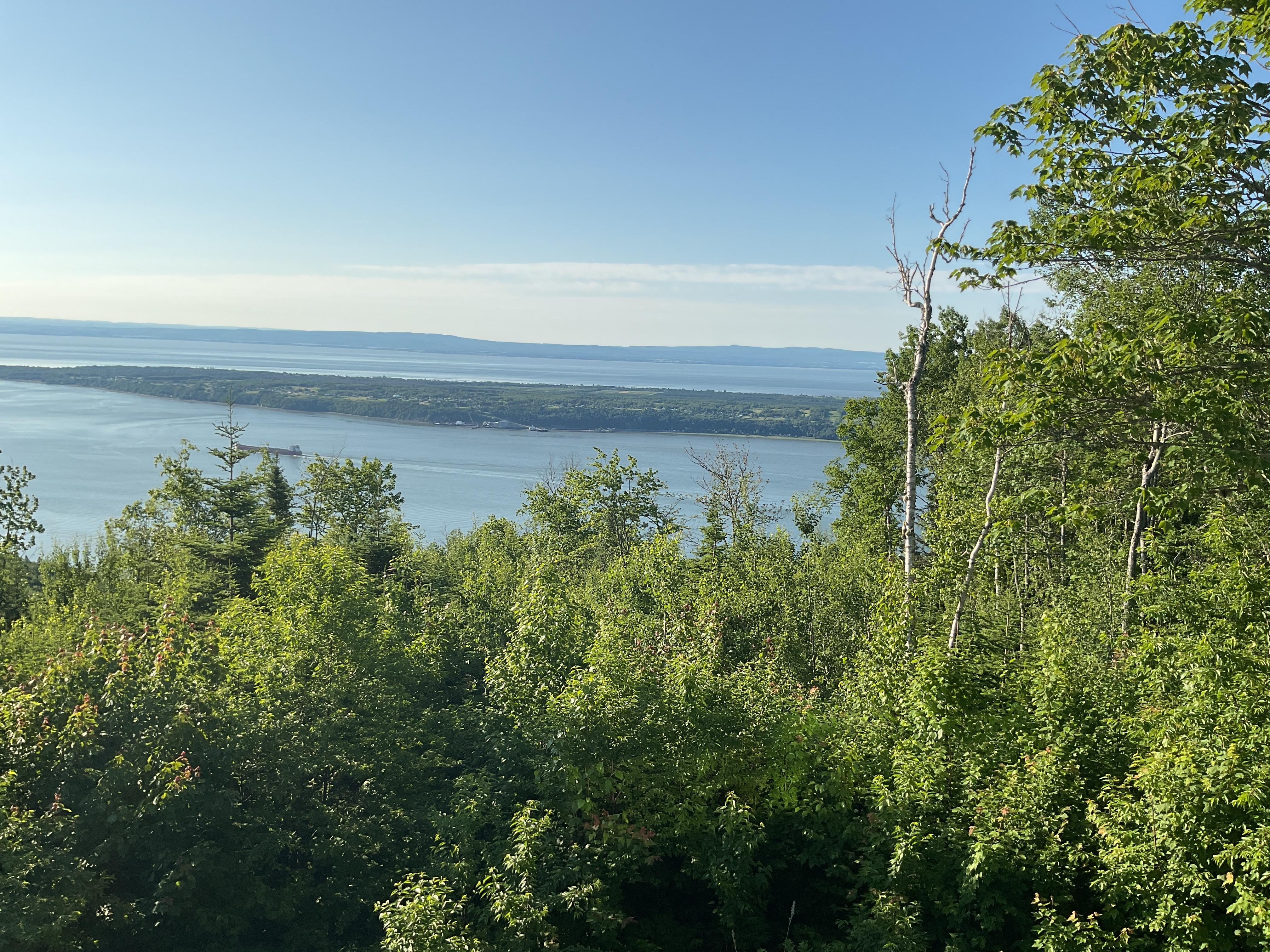 Vue à partir de la terrasse