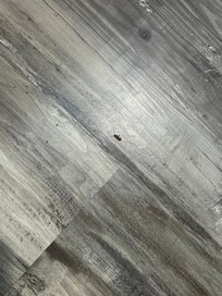 THERE WAS A DEAD ROACH IN THE BATHROOM!!! AND THE HOTEL STAFF REFUSED TO DO ANYTHING ABOUT IT!!!!