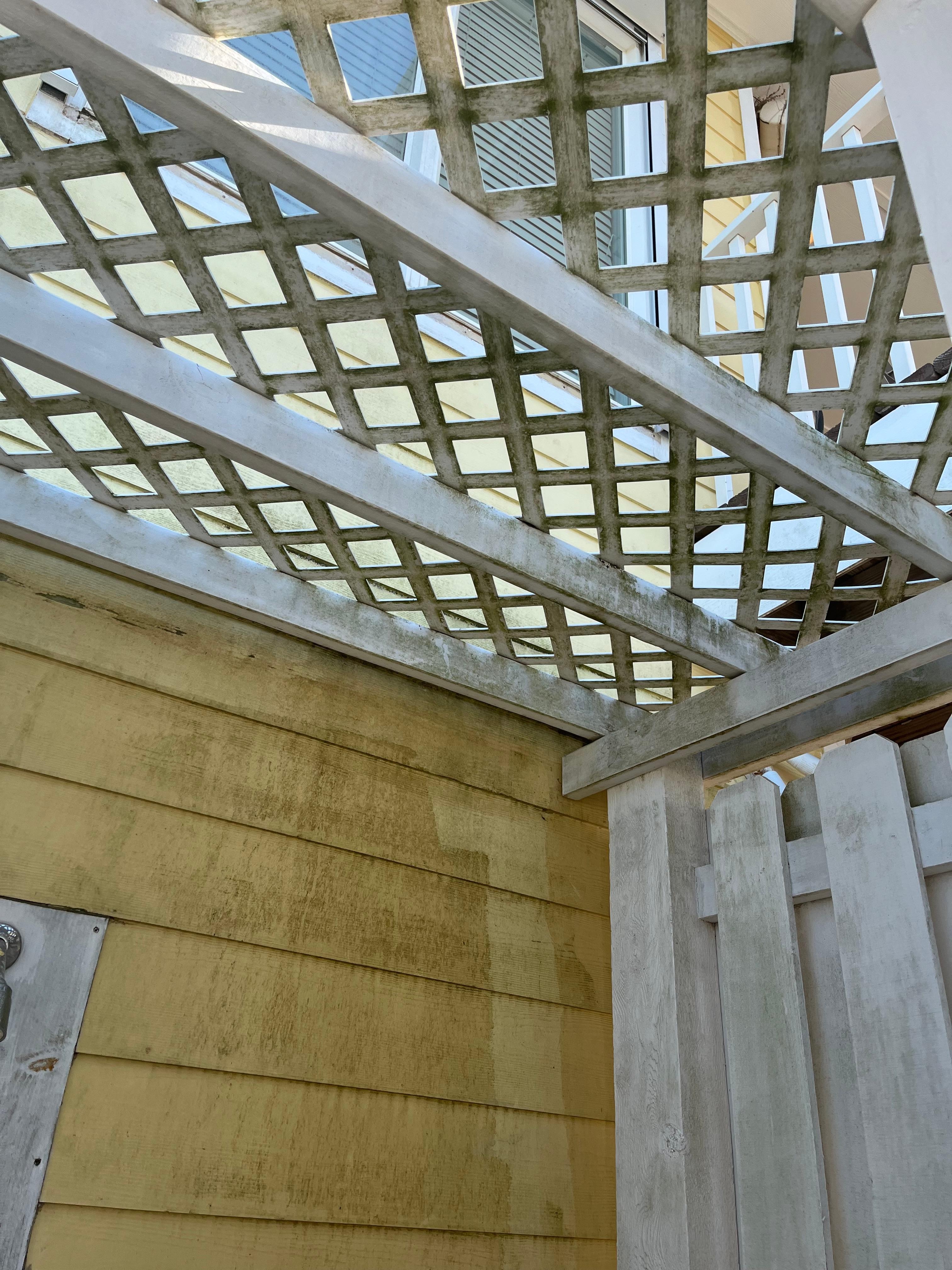 All the outside in around and on lattice and walls covered in mold