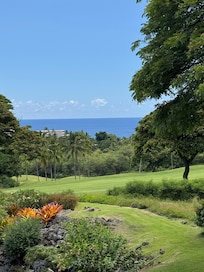 View from the lanai