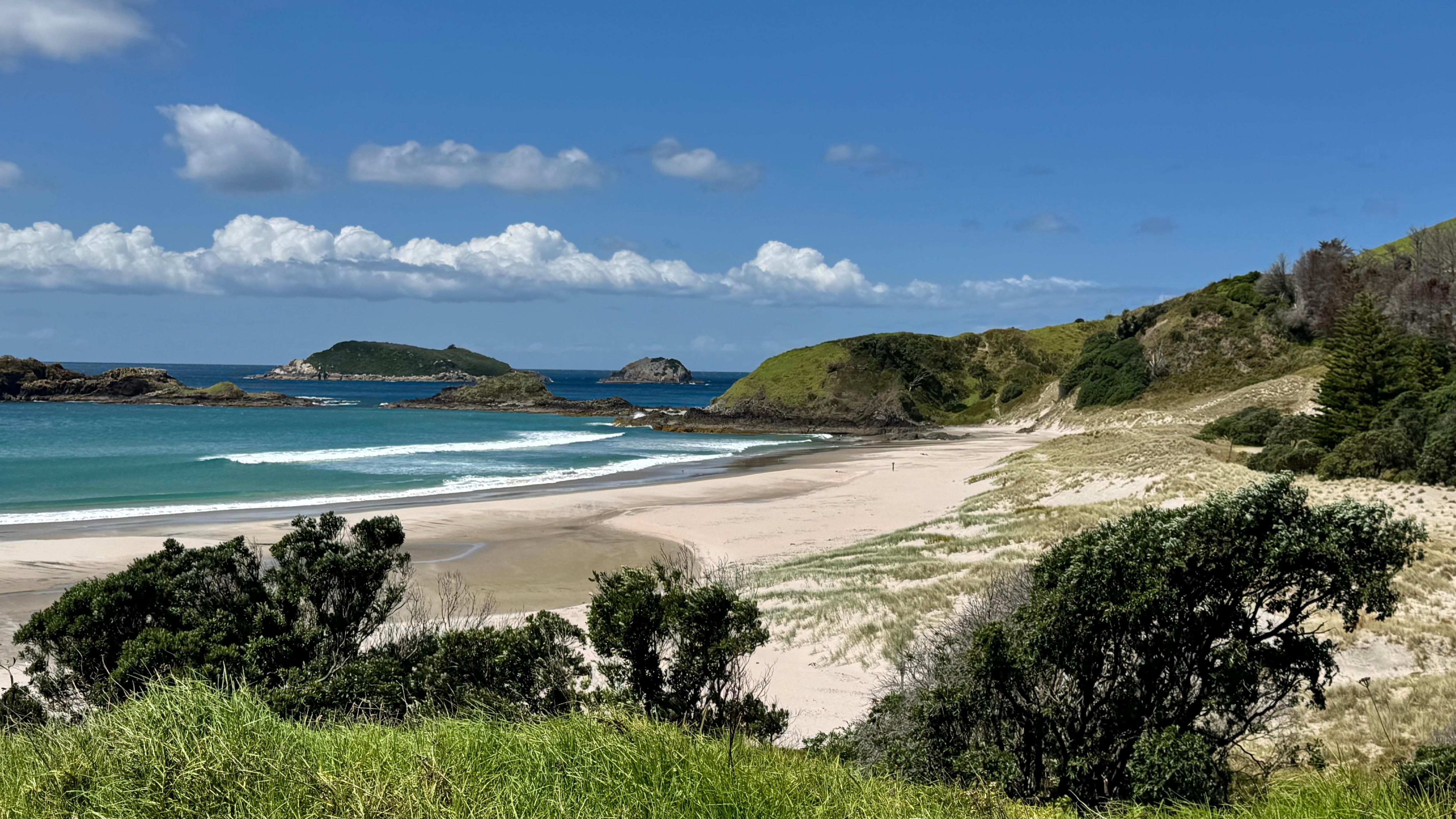 Ocean beach, surfs up.
