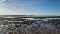 Mud flats (low tide)