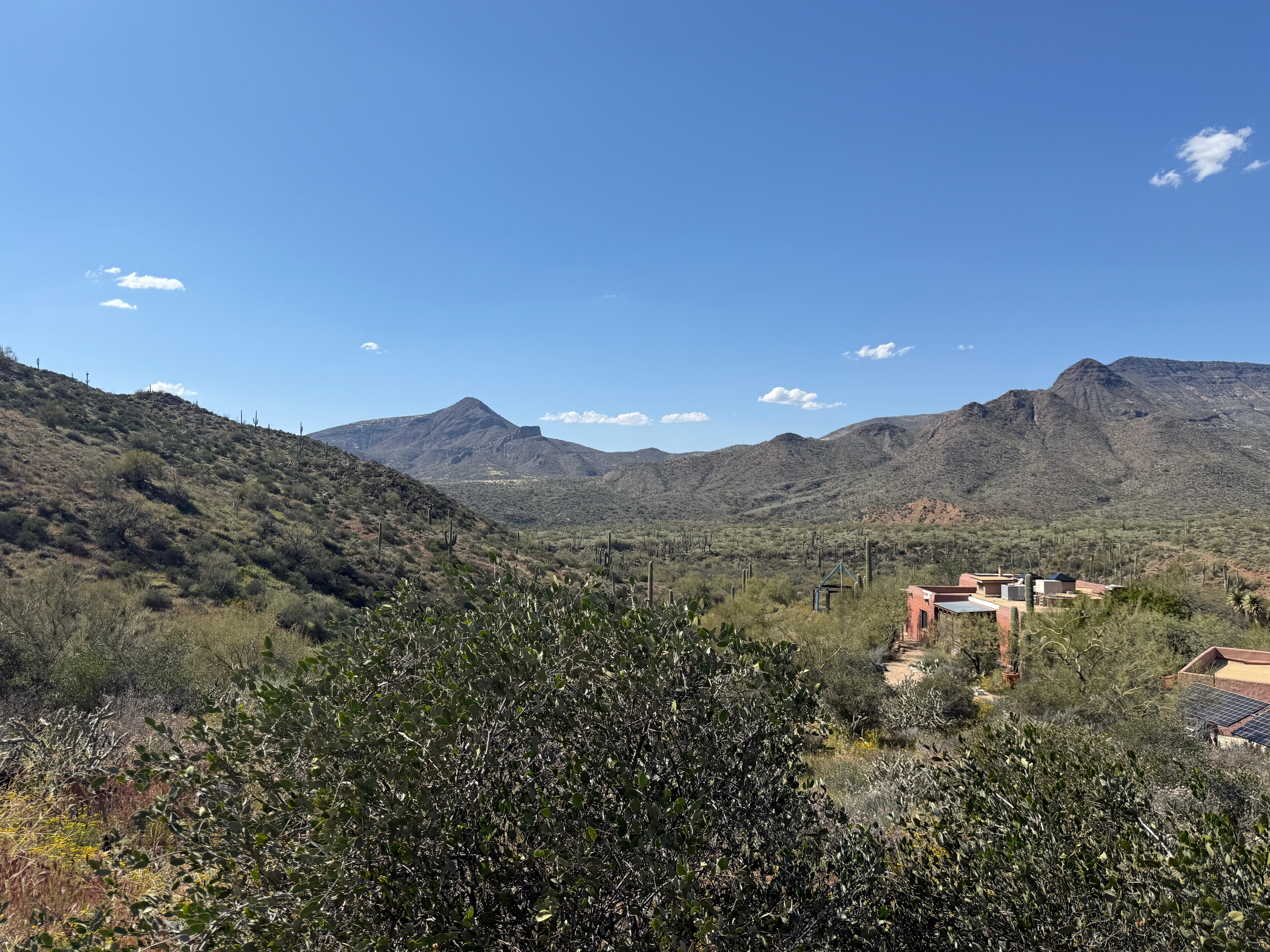 A view of Elephant Mt and Mesa