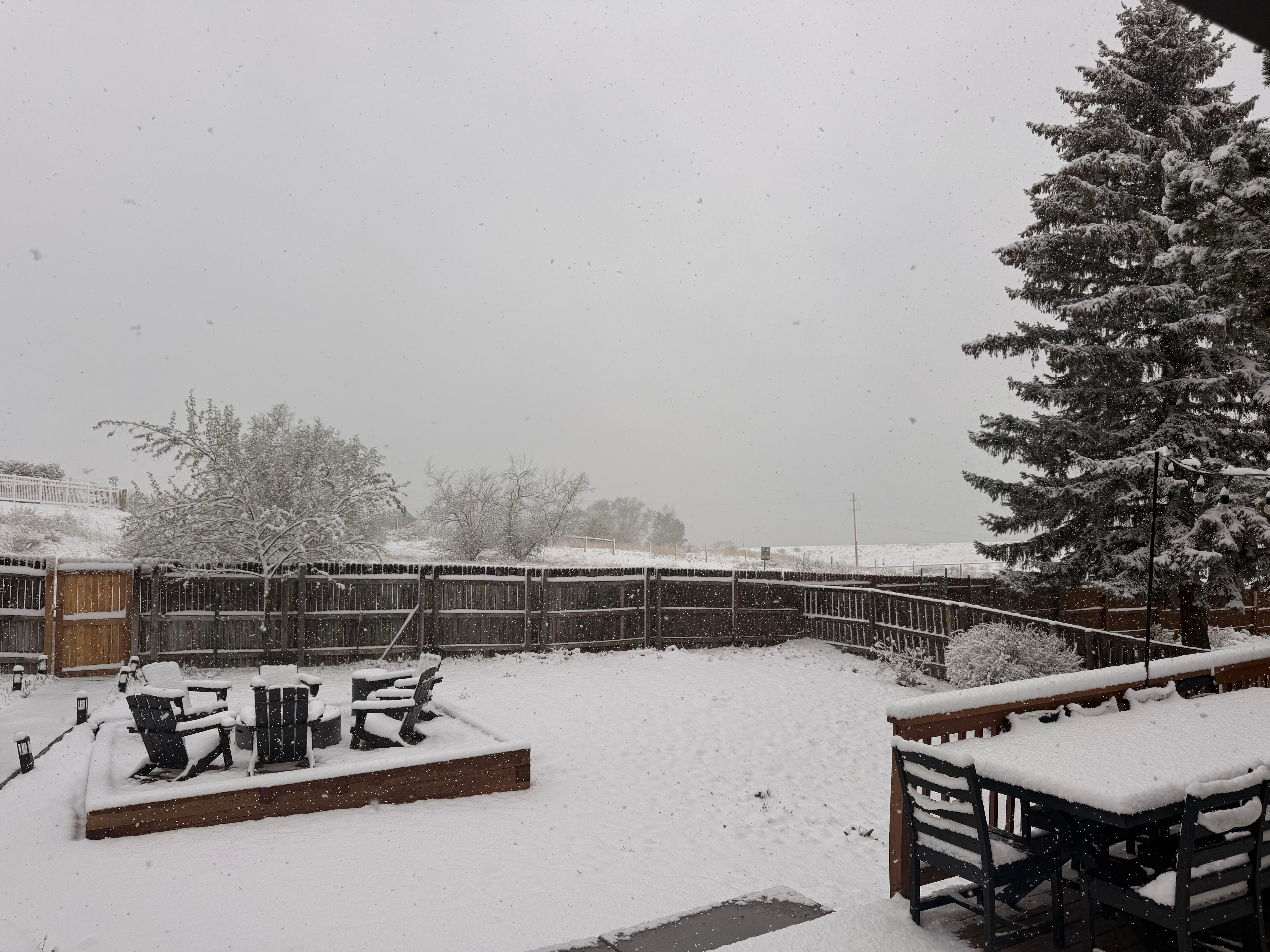 What a difference a day makes 