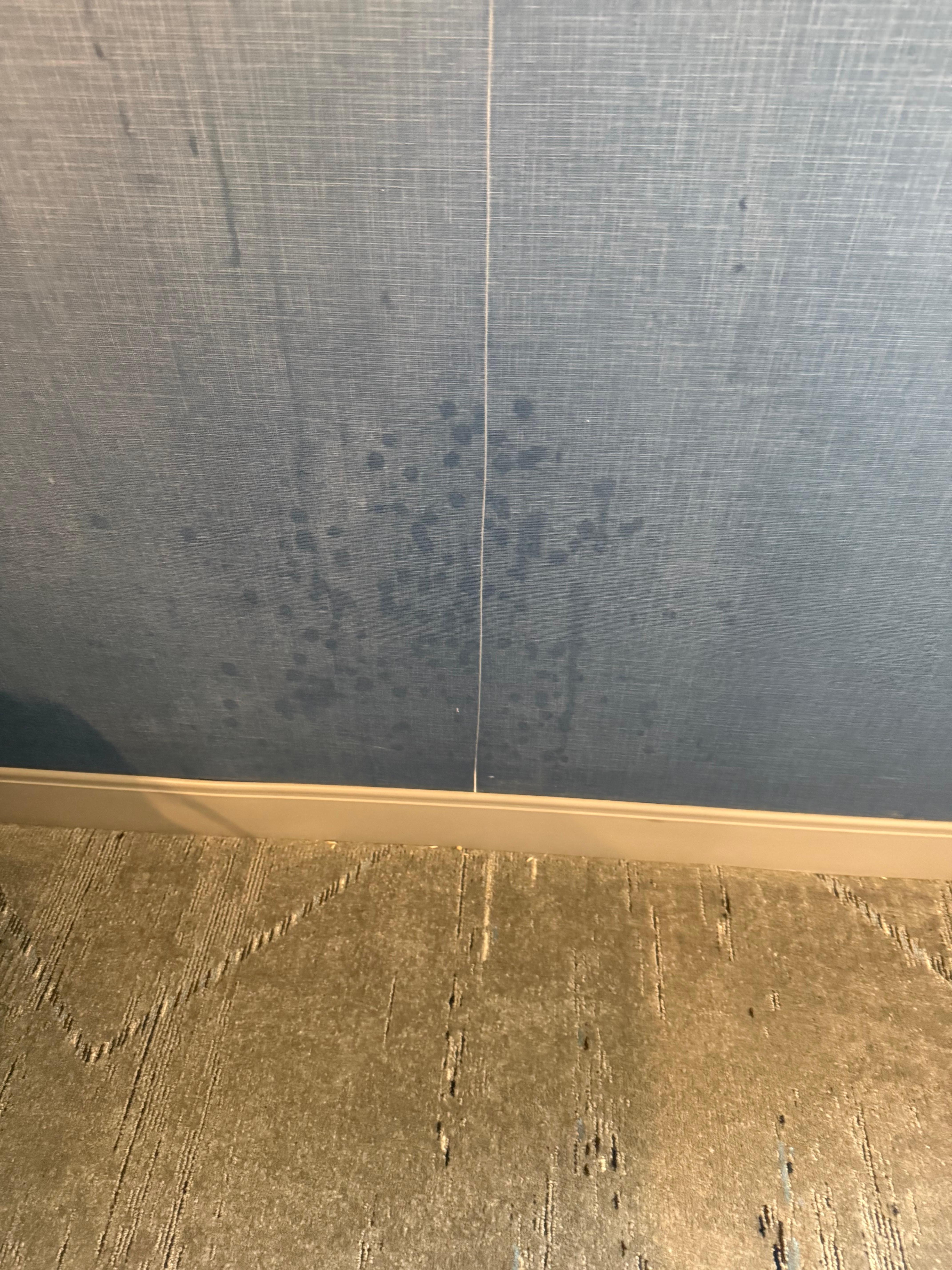 water coming through the wall