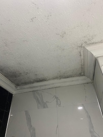 Mold in the shower ceiling