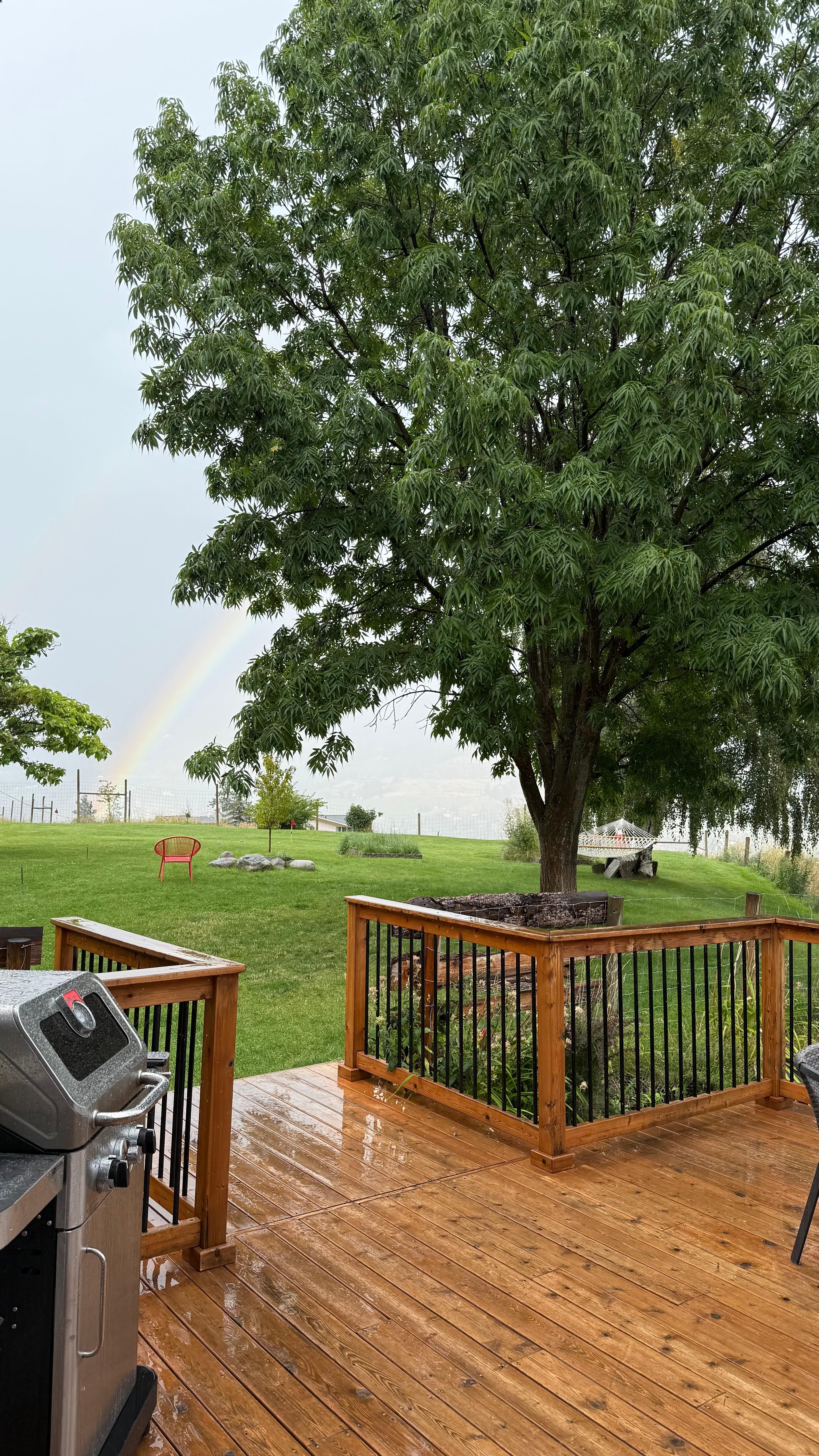 Hammock in backyard was awesome