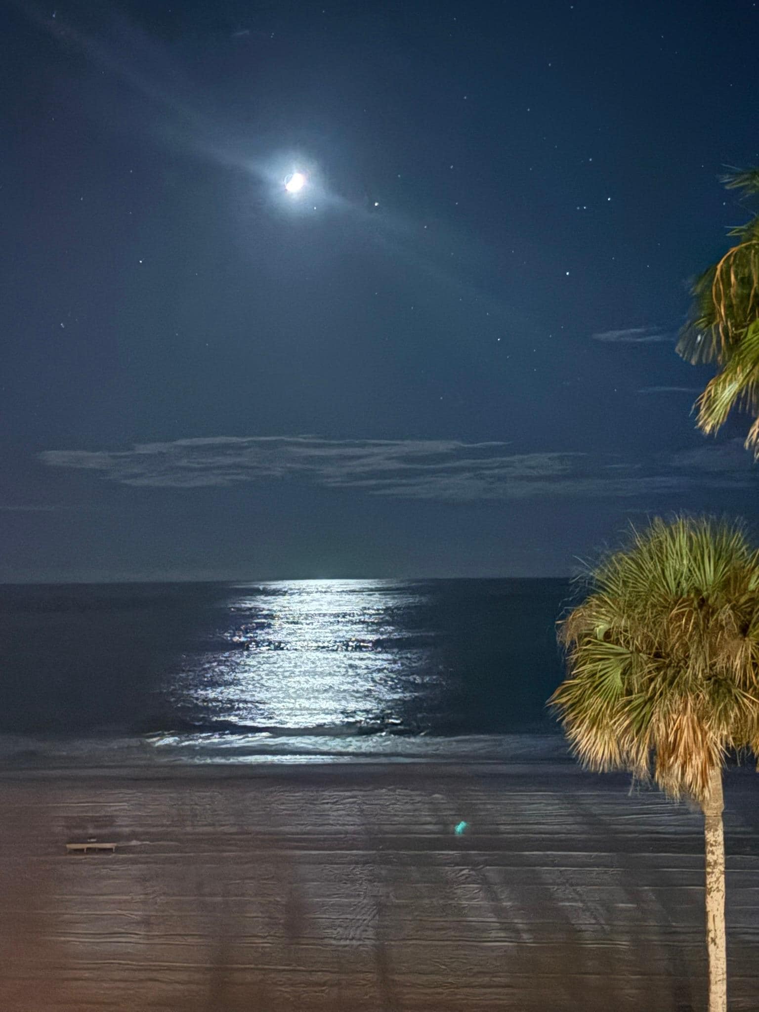 Moonlight on the Gulf