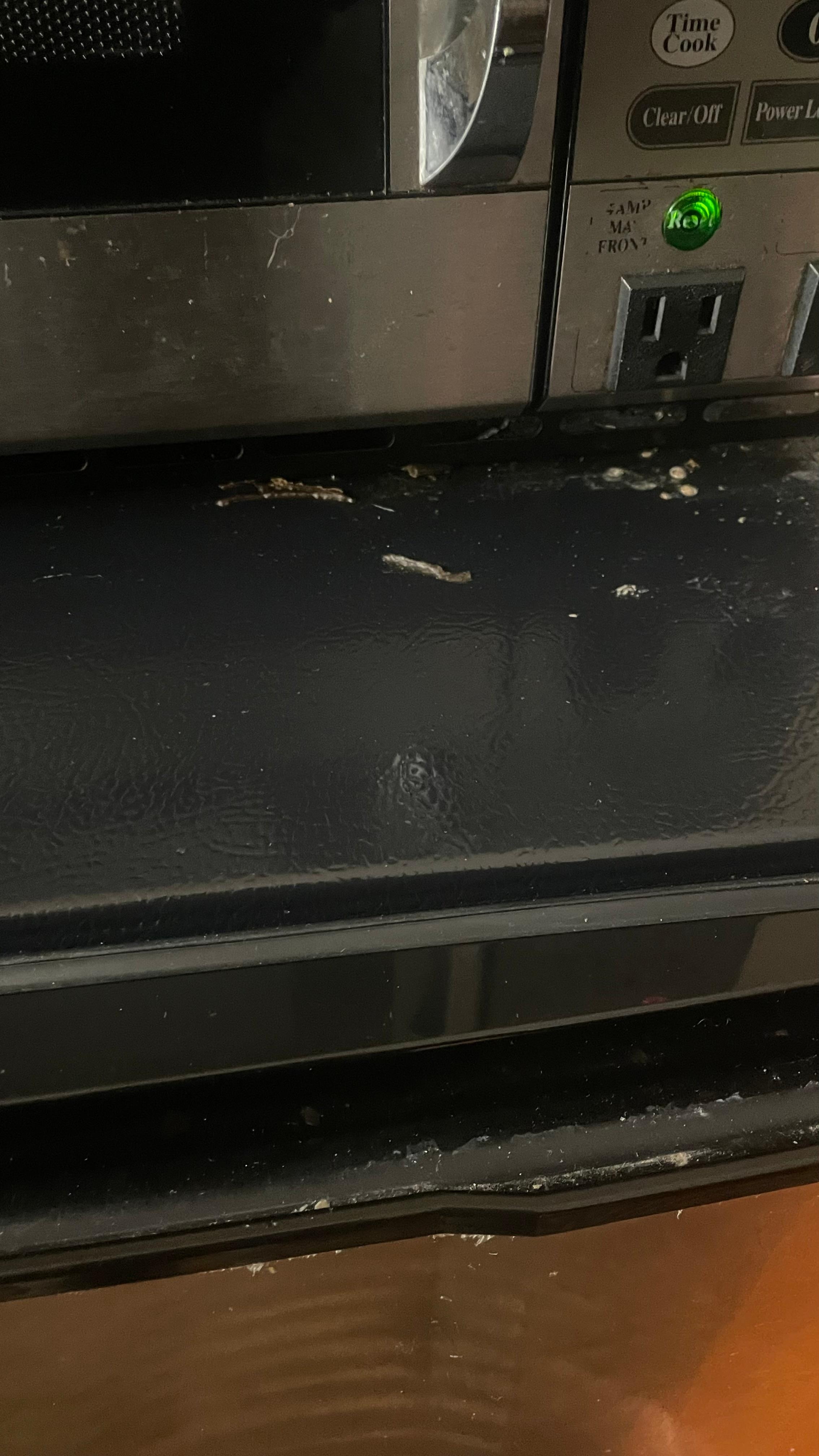 Smeared dead and lives roaches in and on microwave