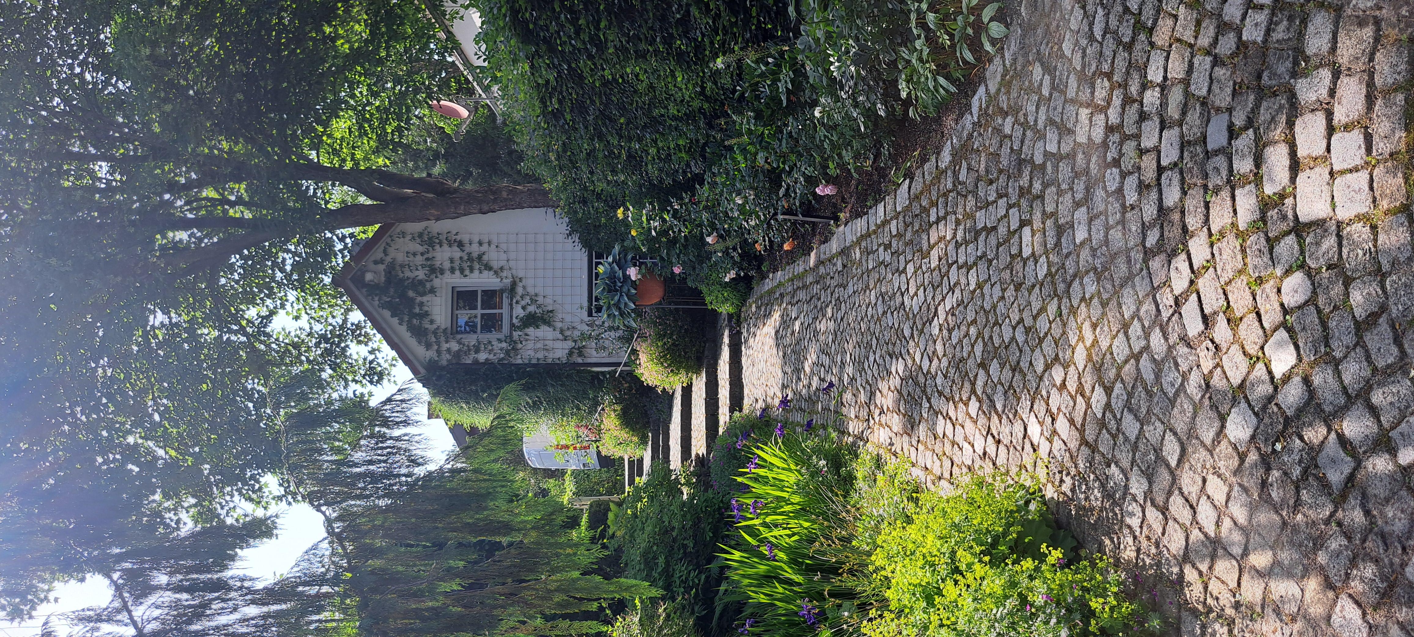 Weg vom Haus zur Gartentür