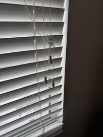 Tangled mess of shutter strings