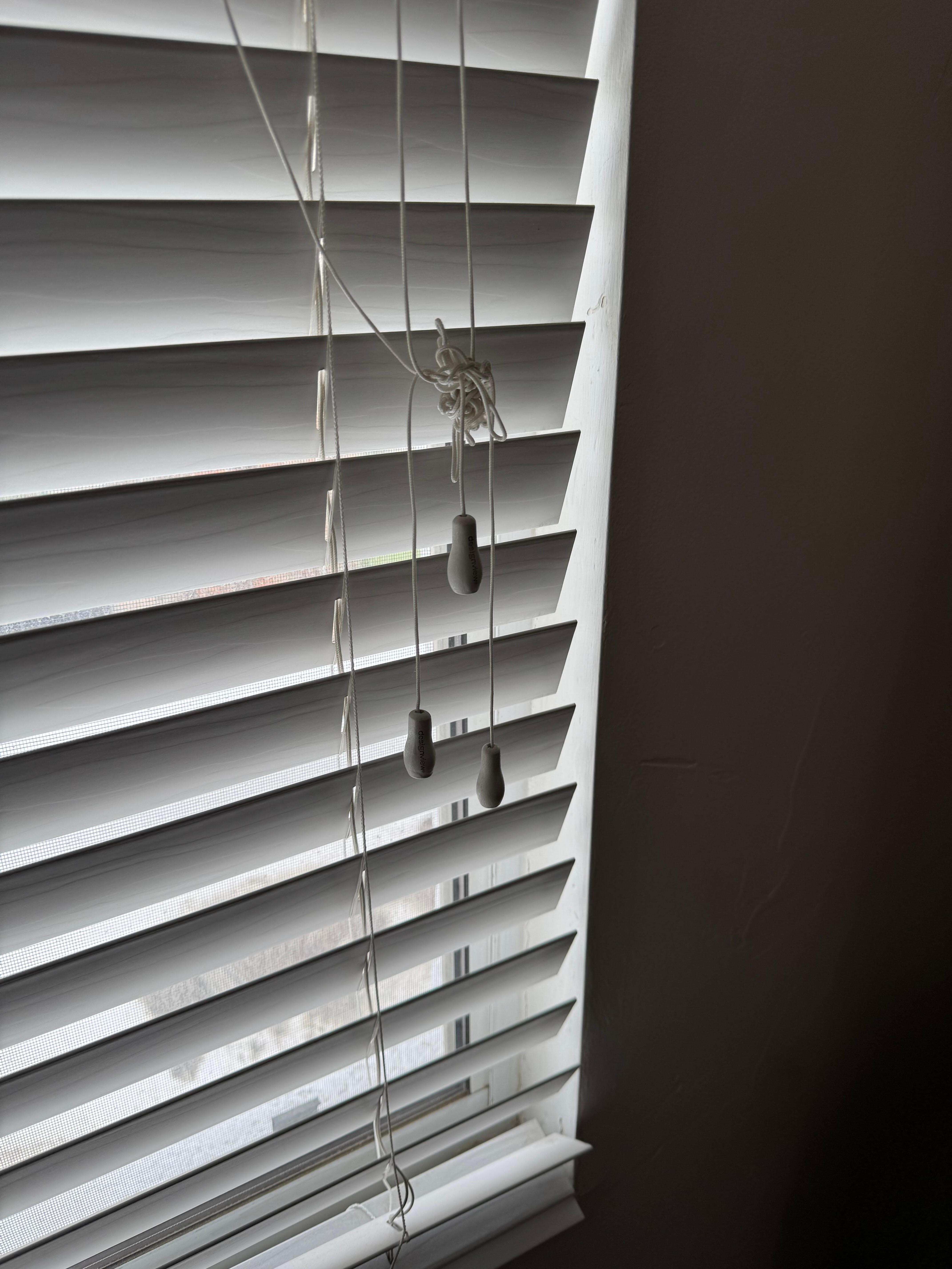 Tangled mess of shutter strings