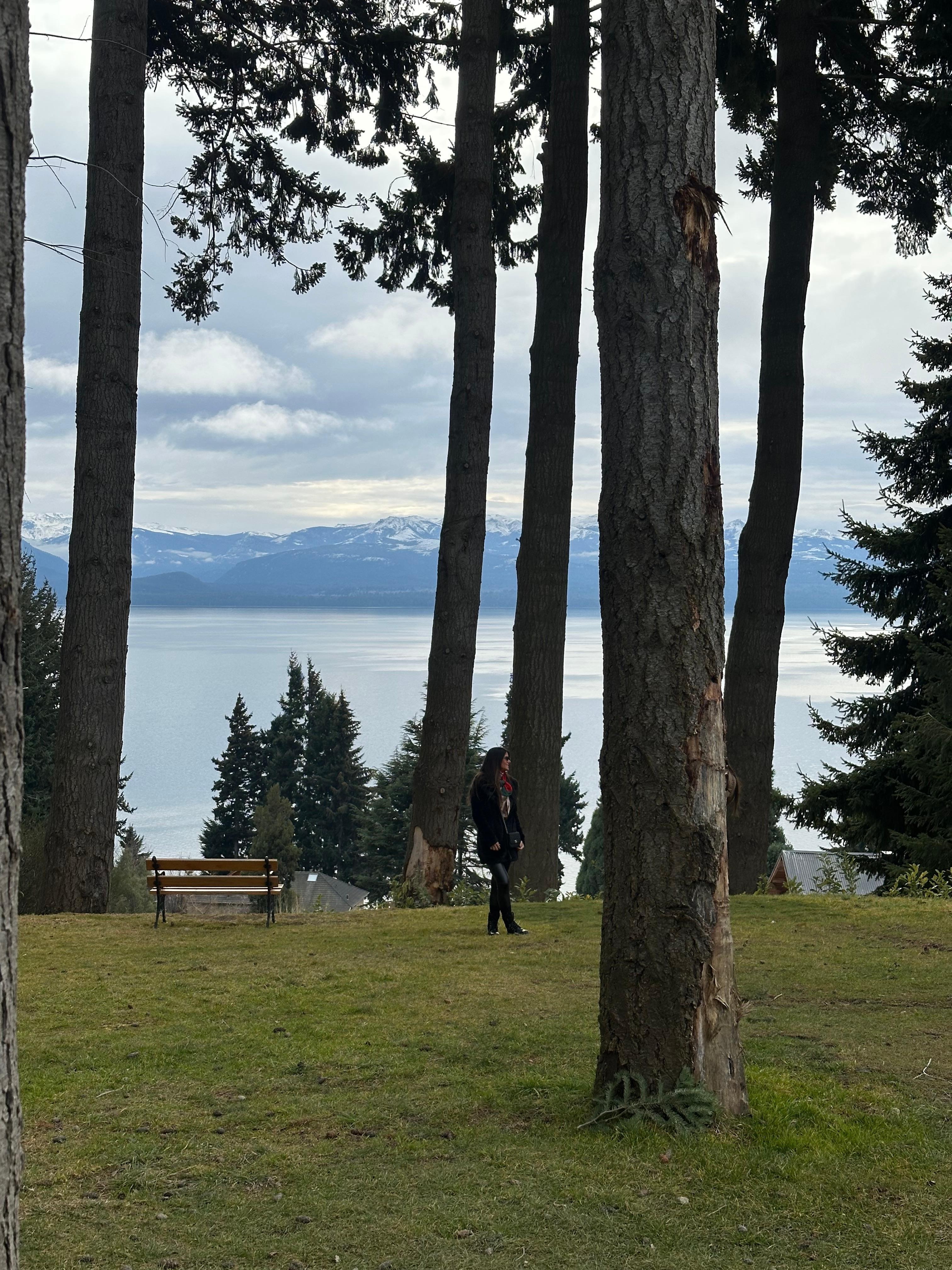 Vista bosque do hotel