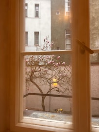 Da janela do nosso quarto , vendo a neve caindo
