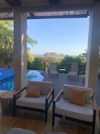 A family of monkeys came through one morning