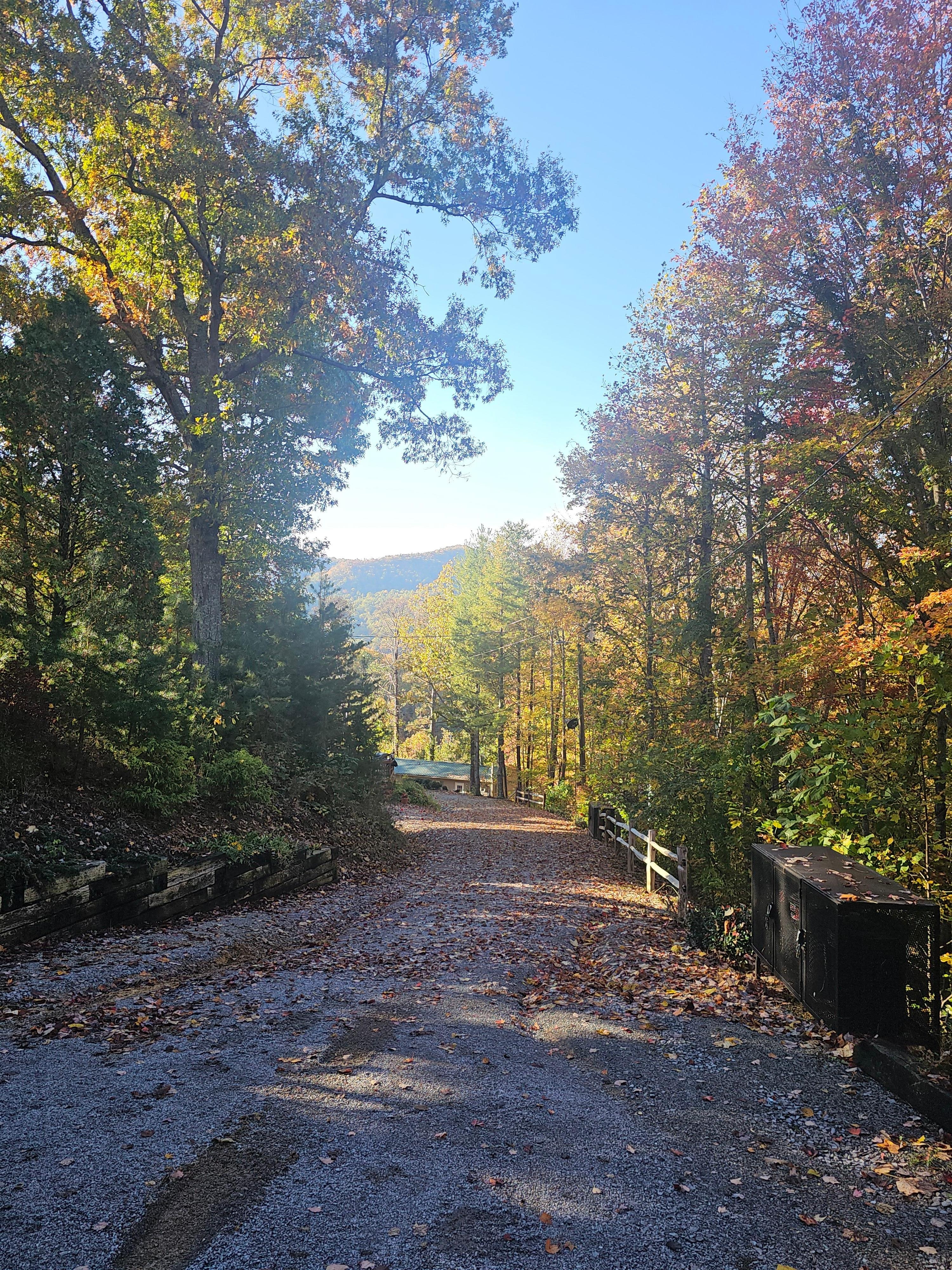 View from the driveway, just georgous!