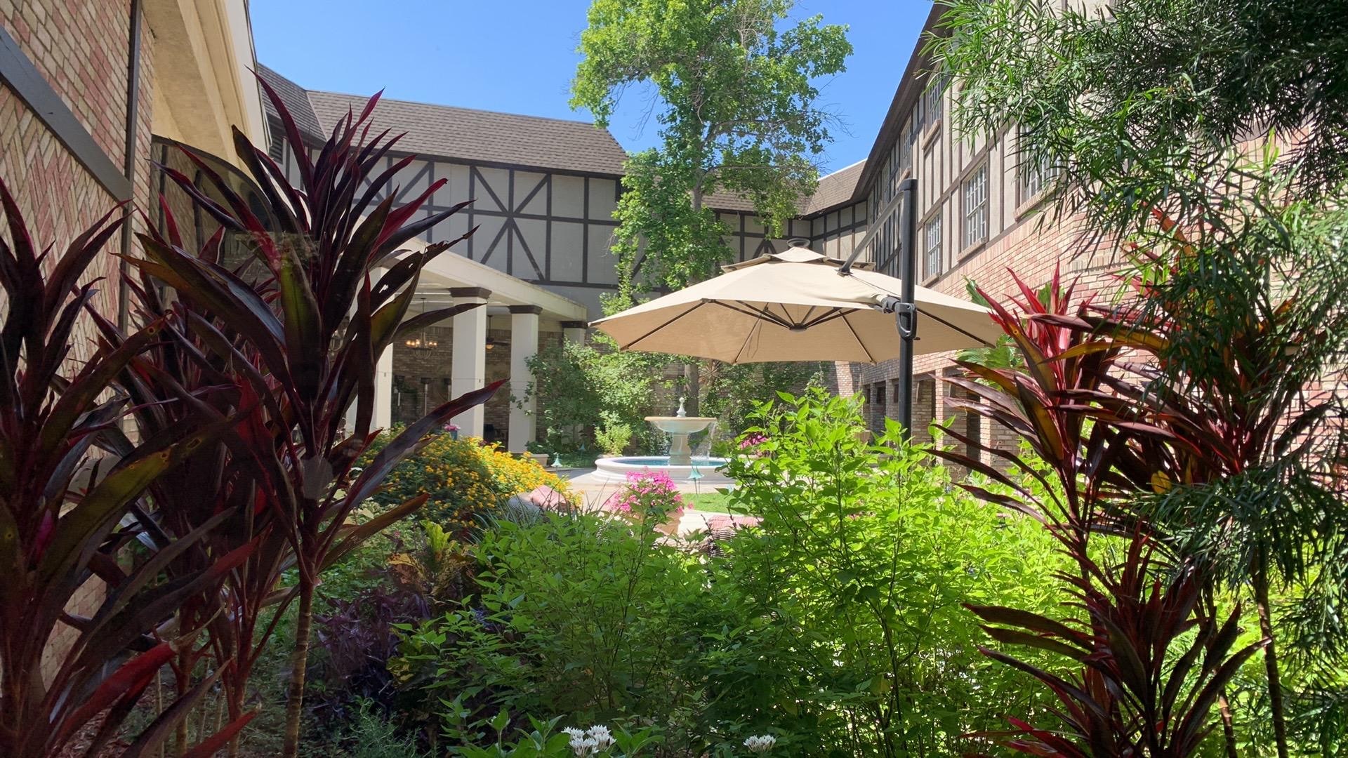 The garden