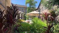 The garden