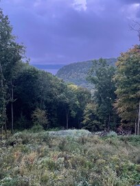 From the deck view