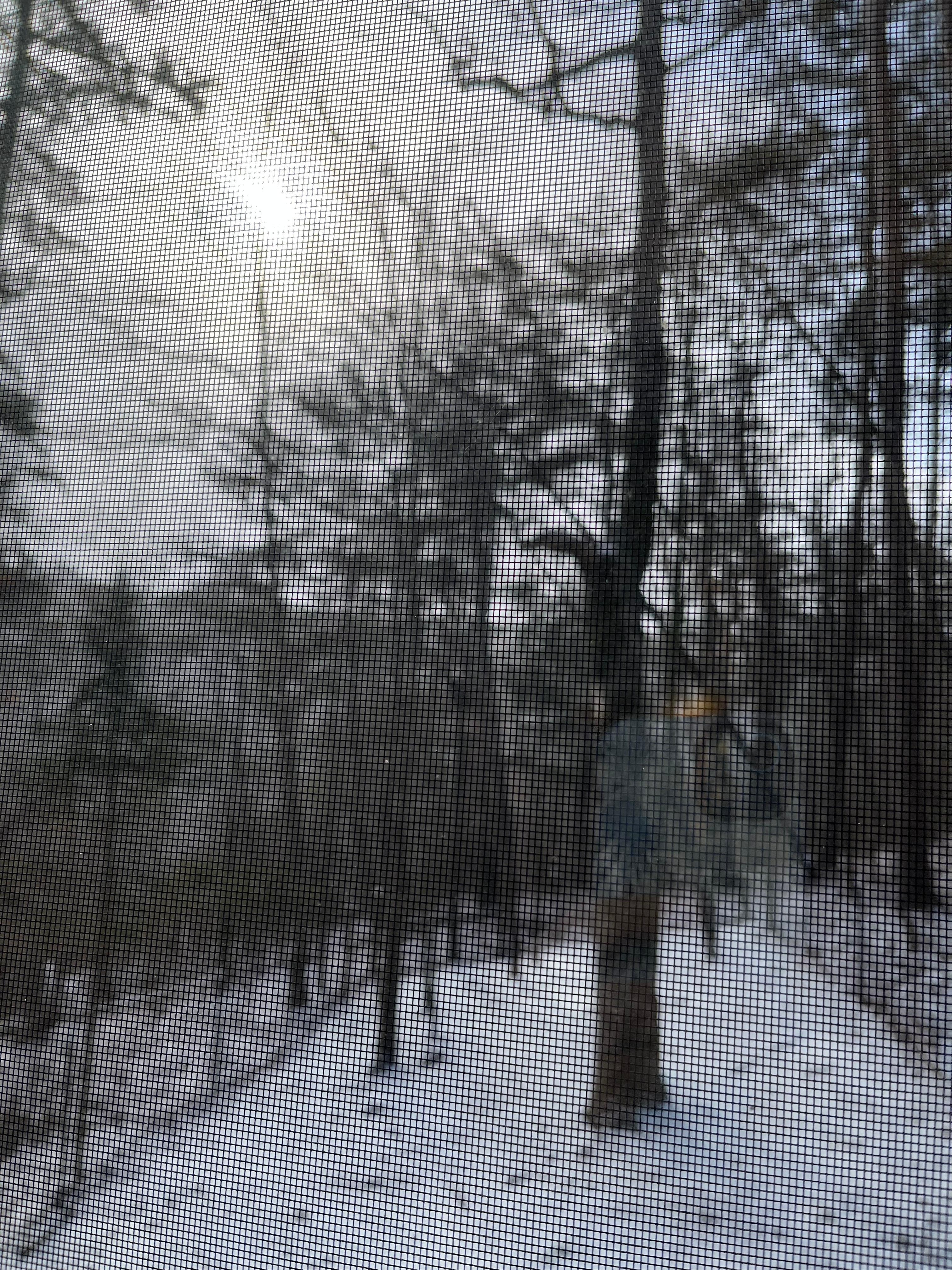 Photo from great room window.   Fences area would be good for dog if you have one. 