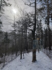 Photo from great room window. Fences area would be good for dog if you have one.