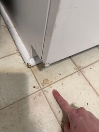 Old food spatter on kitchen floor