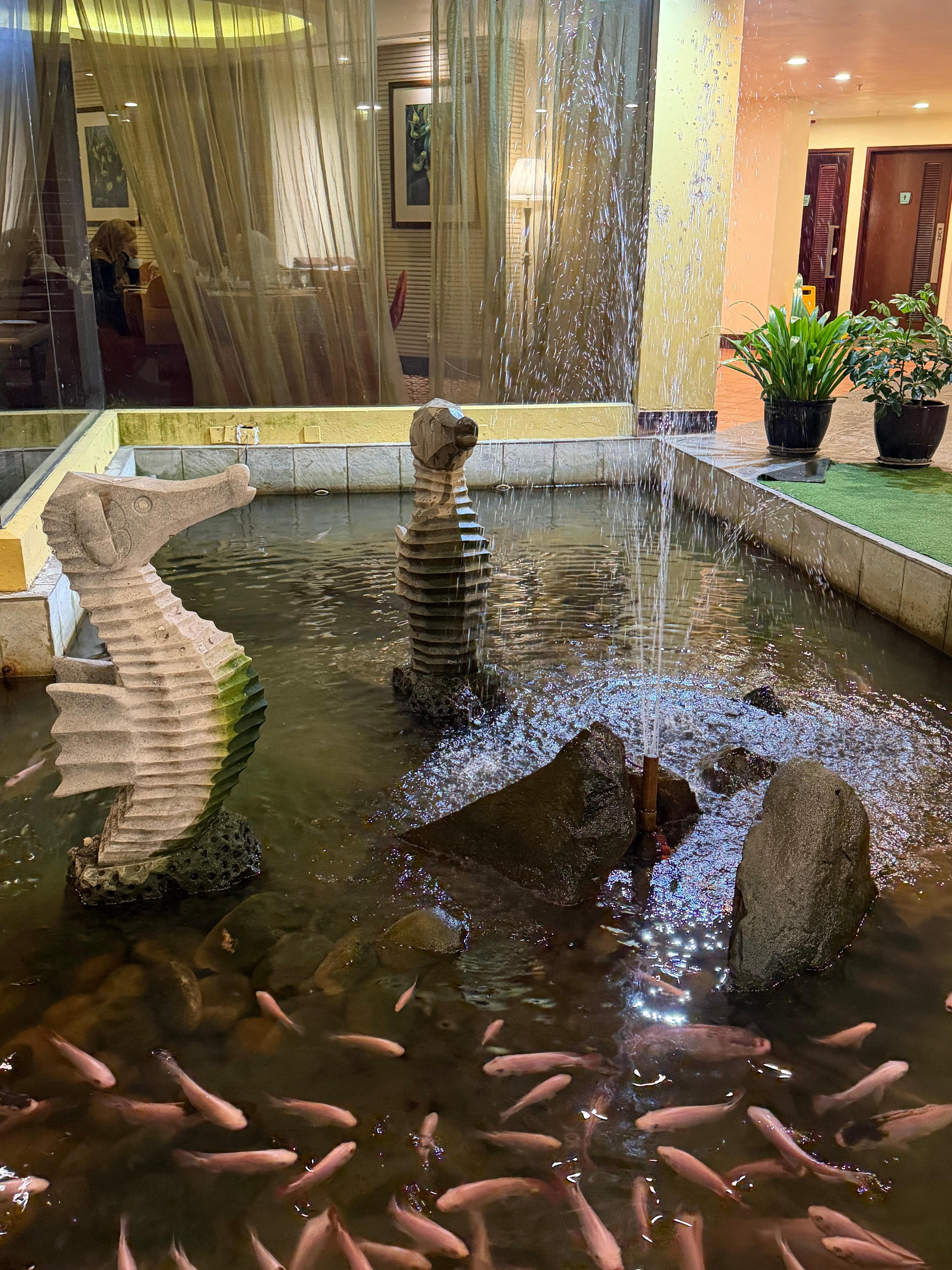 Koi pond by Zest Restaurant (onsite)