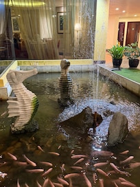 Koi pond by Zest Restaurant (onsite)