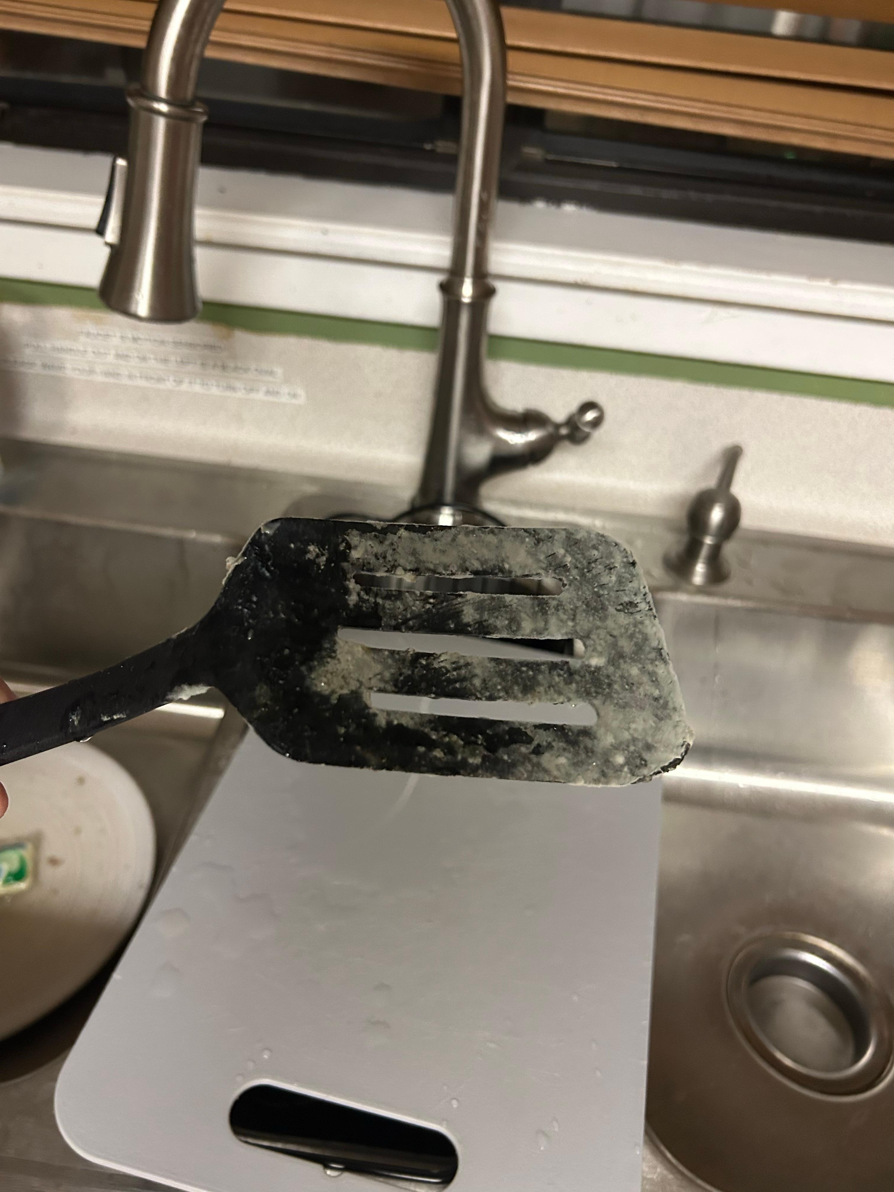 moldy spatula in dishwasher