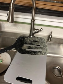moldy spatula in dishwasher