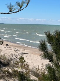 Many great trails at The Pinery