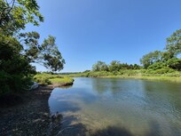 Area near trails