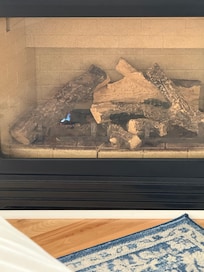 Pilot never went out on gas fireplace