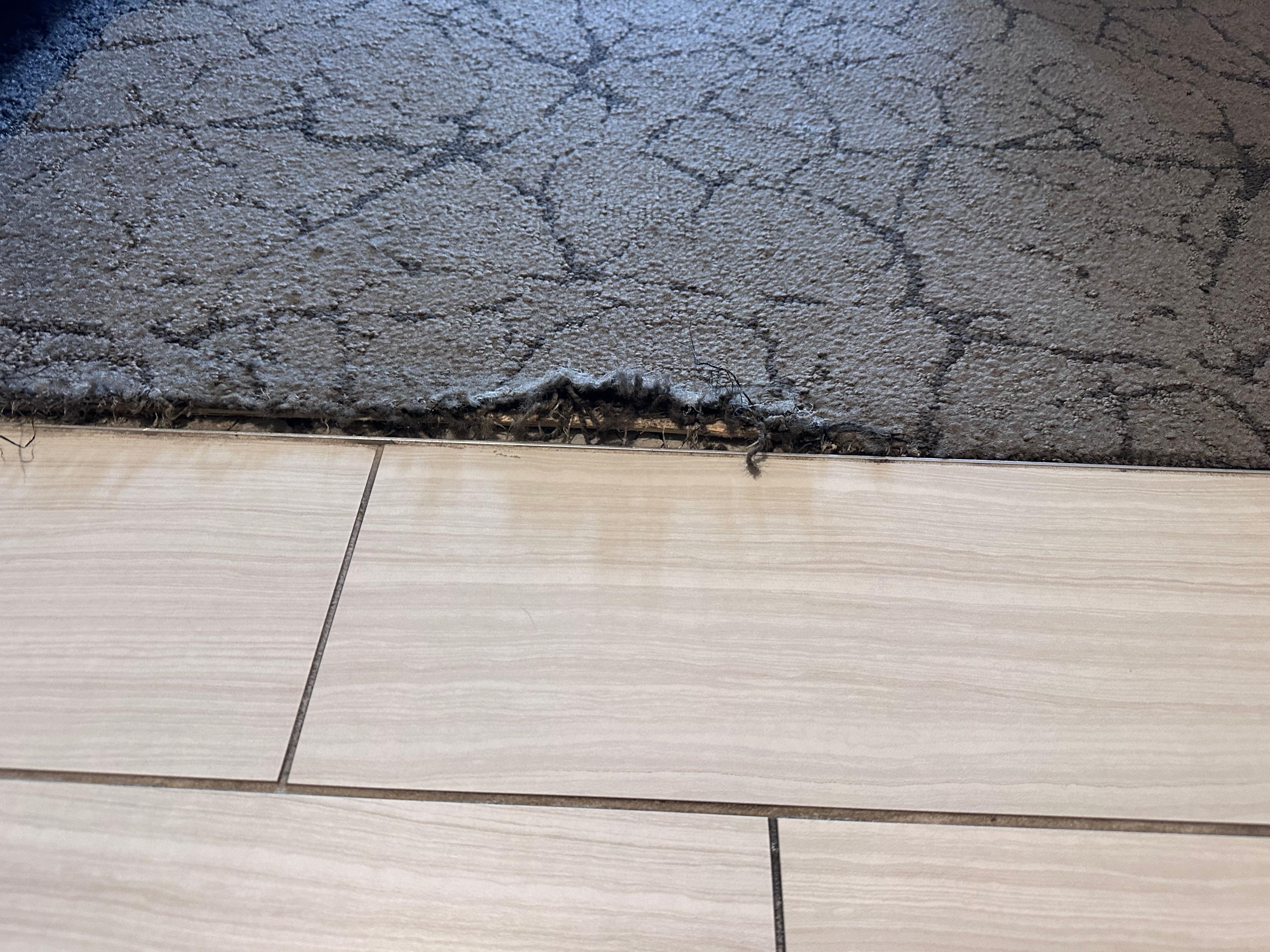 This was the carpet in the room, trip several times