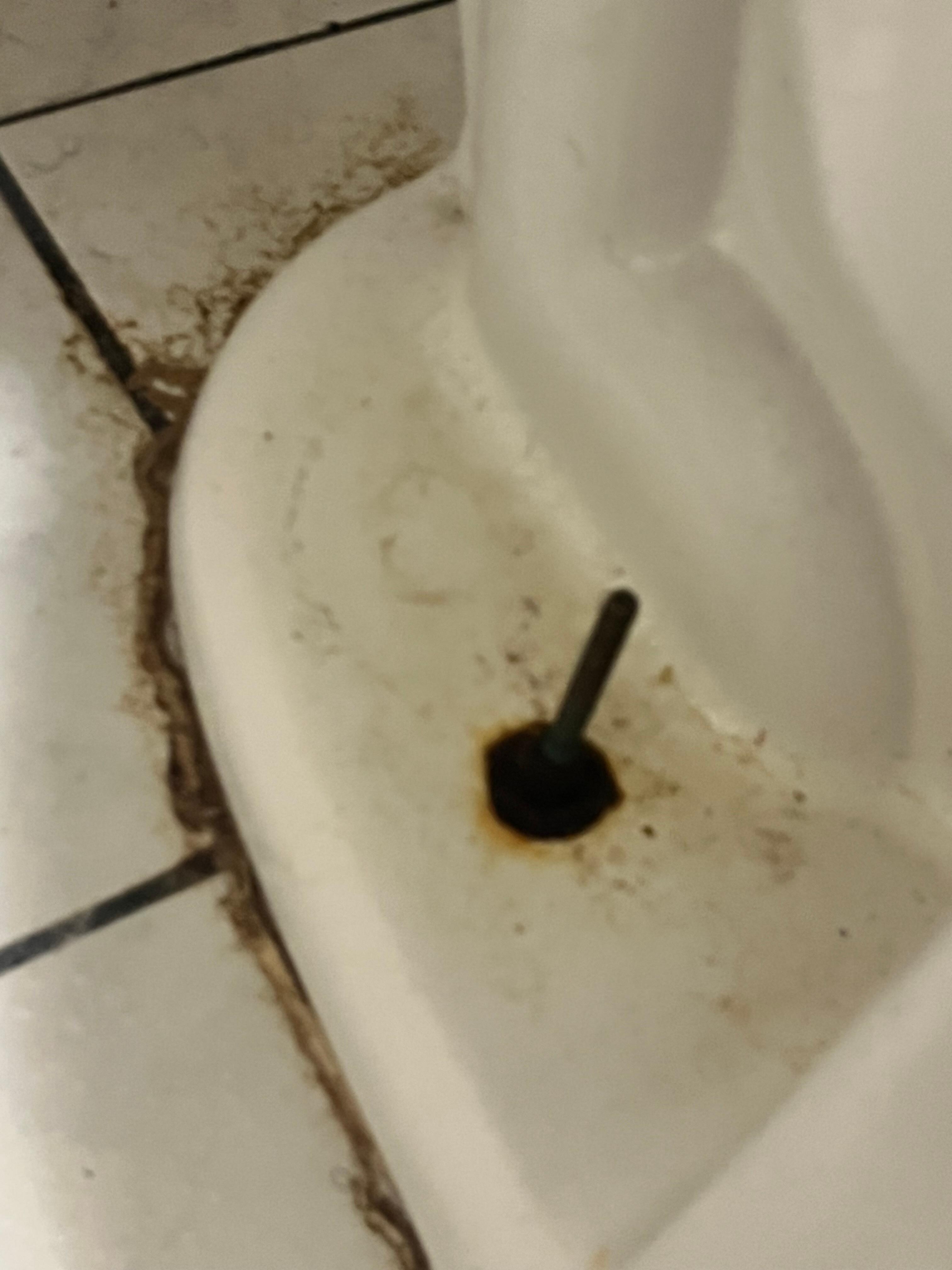 This was just plain gross